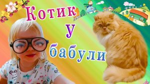 У бабушки миленький котик!!!