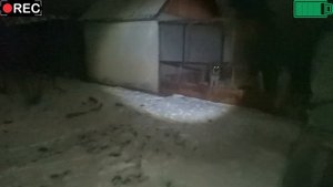 Квест который легко пройти за 50 000р ТИХОН,АЛИСА