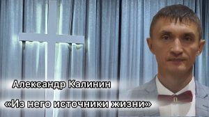 Александр Калинин
«Из него источники жизни»