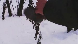 VID-20241127-WA0211