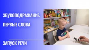 Звукоподражание.Первые слова.Запуск речи.