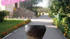 °•утро лапкера жду лайков💗•°