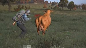 DayZ Standalone - Обычные будни.