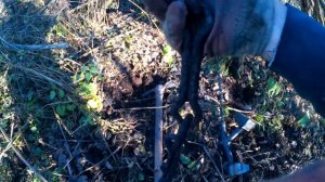 Конец 20- века и вот такое.