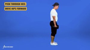Lunges ALTERNATIVE - Reverse Lunges (_knee friendly)