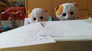 Школа Басиков -1