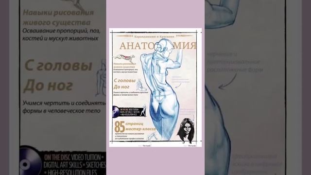 #рисуюкаждыйдень  #диджиталарт #книги #книгидлярисования #анатомия #анатомиячеловека