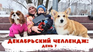 Декабрьские влоги: Снежинка под микроскопом!