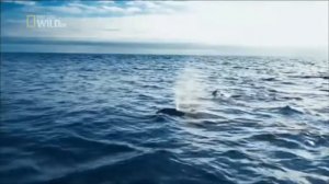 Ежедневник НикА за 27 сентября