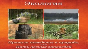 Экология. Правила поведения на природе, или пять лесных заповедей