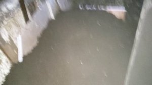 Мой опыт разведения червей на соломе.