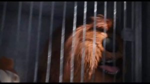 Кролик, свинья и ящерица угоняют фургон. Тайная жизнь домашних животных.