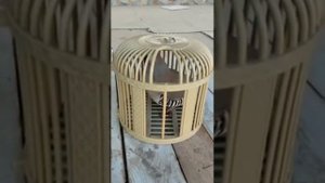 шикори кабк keklik sesi chukar chakor👍