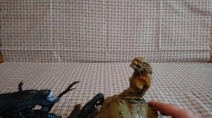 Диорама Alien Resurrection / Alien Queen With Newborn Alien (Чужой Воскрешение / Рождение)