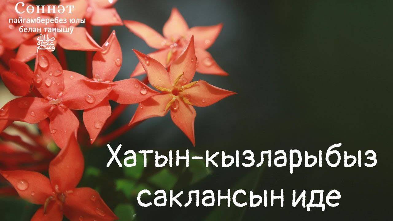 Хатын-кызларыбыз саклансын иде | Рамил Гәйнетдинов