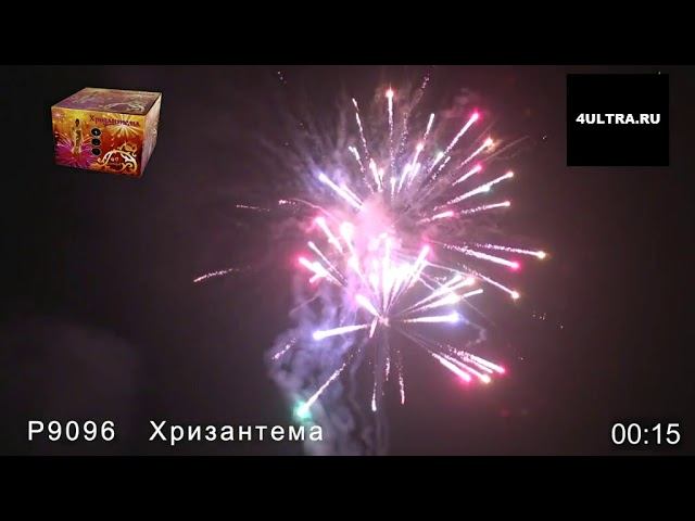 Салют "Хризантема"(49 зарядов, калибр 1.25 дюйма)
