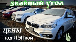 #авторынок ЗЕЛЁНКА ЦЕНЫ ПОД ЛЭПкой