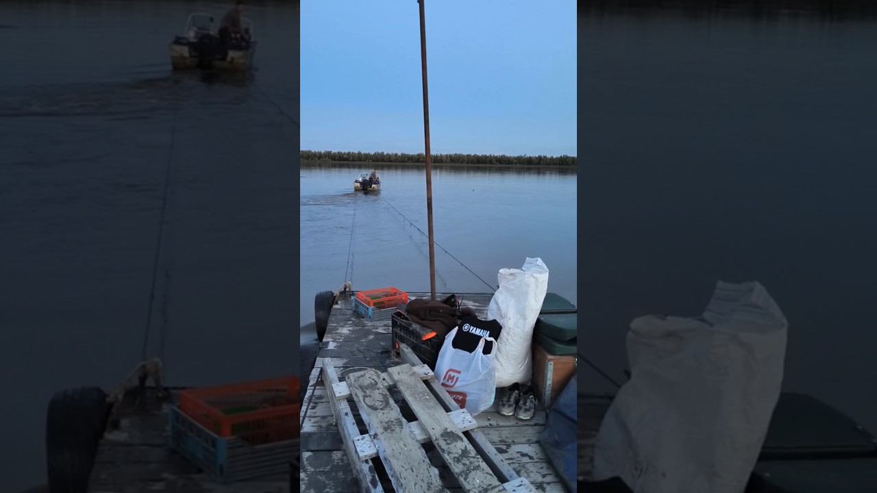 Буксировка лодочного причала! #лето #река #лодка #причал  #буксировка #рыбалка #природа #экстрим смотреть онлайн