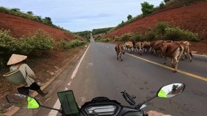 Вьетнам Мотопоездка на 910 км Облачно моросит и ветер декабрь.