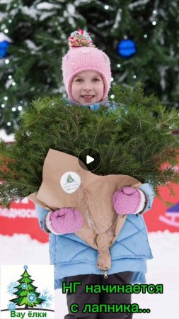 🎄Новый год начинается с лапника...