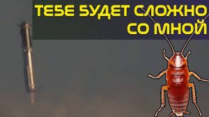 Уникум пытается огрызаться