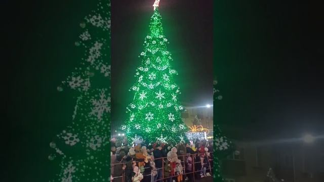 В Бендерах(Приднестровье) зажгли новогодние огни на городской ёлке.