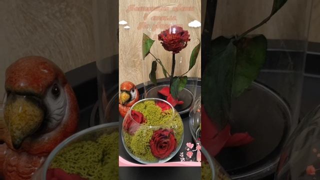 Создание подарочных композиций из цветов. Декор для дома. Цветы в стекле. Роза в колбе.