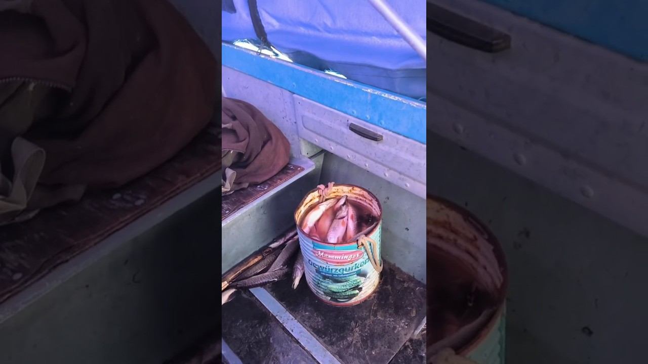 Настиг летний дождь на рыбалке, рыбалка на щуку! #рыбалка #лето #дождь #щука #хищник #fishing смотреть онлайн