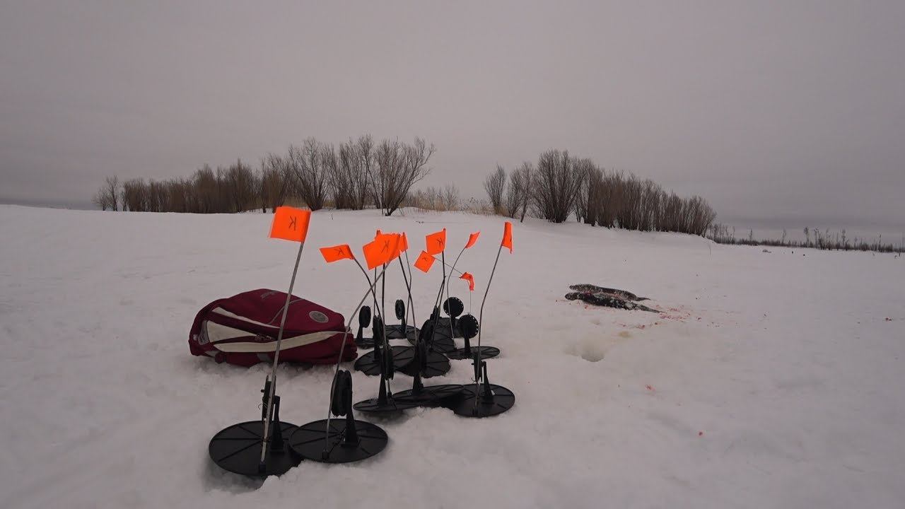 МОНСТР ЩУКА! Зимняя Рыбалка На Жерлицы, Рыбалка На Мормышку Ловля Трофейного Окуня! смотреть онлайн