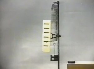 Физика. Опыты. Механика сплошных сред. Упругие свойства тел. Закон Гука