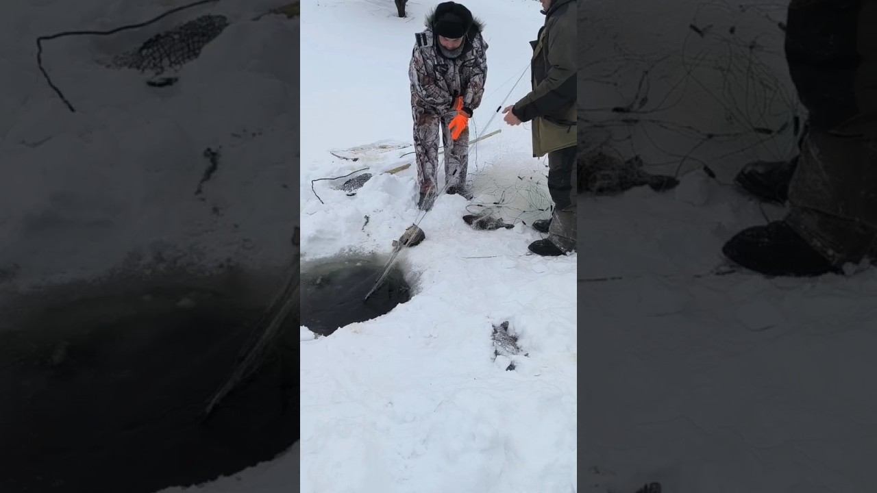 Было время.... #рыбалка #зимняяловлярыбы #охота #сети смотреть онлайн