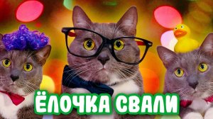 📹 КОТИКИ ГОТОВЯТСЯ К НОВОМУ ГОДУ!