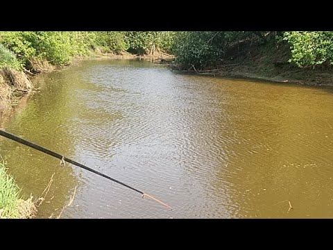 Рыбалка В Тюмени. Р. Болдушка. смотреть онлайн