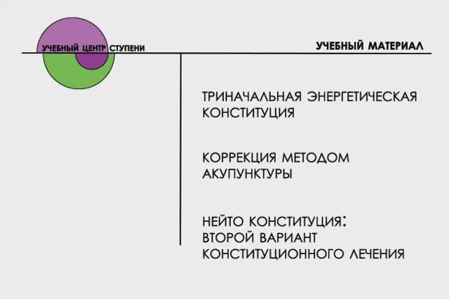 Коррекция энергетической конституции, постановка игл (вариант 2). Су Джок