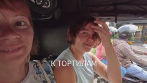 К Тортилам на Шриланке