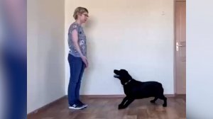 «ЗДРАСТИ-МОРДАСТИ»: ПОБЕДИТЕЛИ