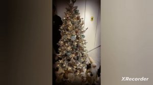 Новогодние Ёлочки🎄