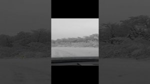 Зимняя трасса