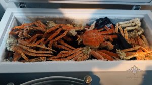 Полицейские в рамках операции «Путина» пресекли незаконный оборот морепродуктов