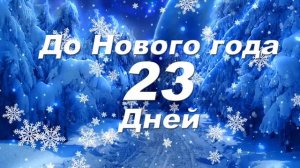 До Нового года 23 дней