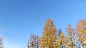 Опять небо в клетку расчертили