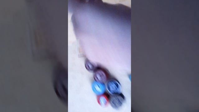 Коллекция крышек и кот Ваня смотреть онлайн