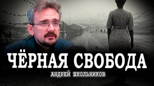 Невозможность порядка, или Апартеид - как необходимость | Андрей Школьников