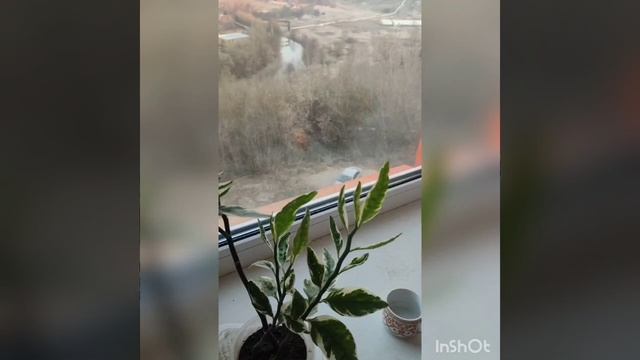 Чудо в правильном понимании ЗАПОВЕДЕЙ оно в нас!