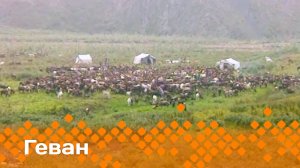 «Геван»   (08.12.24)