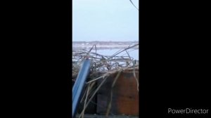 Сааскы кус 2020