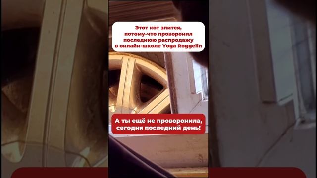 Лучший способ сохранить молодость и здоровье!