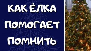 Как ёлка помогает помнить