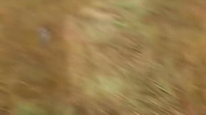 2007 ЕМЕЛЯ-ВЕЗДЕХОД, Рдейское испытание