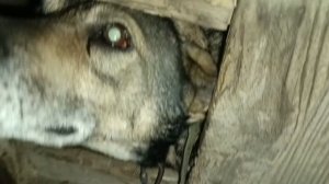 Херсонщина 8 декабря 2024 года